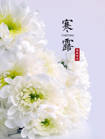 Cold dew pictures with words mobile wallpaper