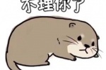 水獭不理你了表情包