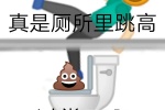 真是厕所里跳高 过粪了啊