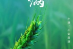 24節氣小滿手機壁紙