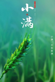 24 solar terms Xiaoman mobile wallpaper