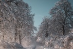 Beautiful snow scene pictures desktop wallpaper