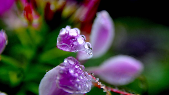 寒露节气美景高清电脑壁纸图片