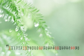 August 2021 green theme HD calendar wallpaper