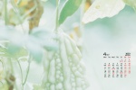 Simple and fresh desktop calendar wallpaper for April 2022