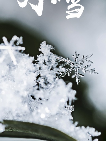 节气小雪文字配图唯美手机壁纸