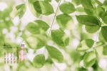 April 2022 small fresh flowers and green leaves calendar wallpaper