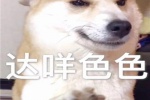 达咩色色