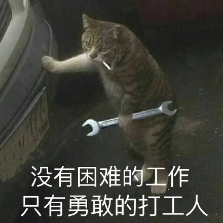 手头的工作表情包