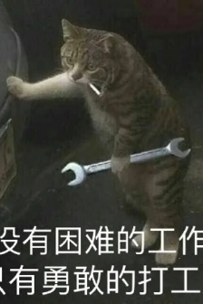 手头的工作表情包