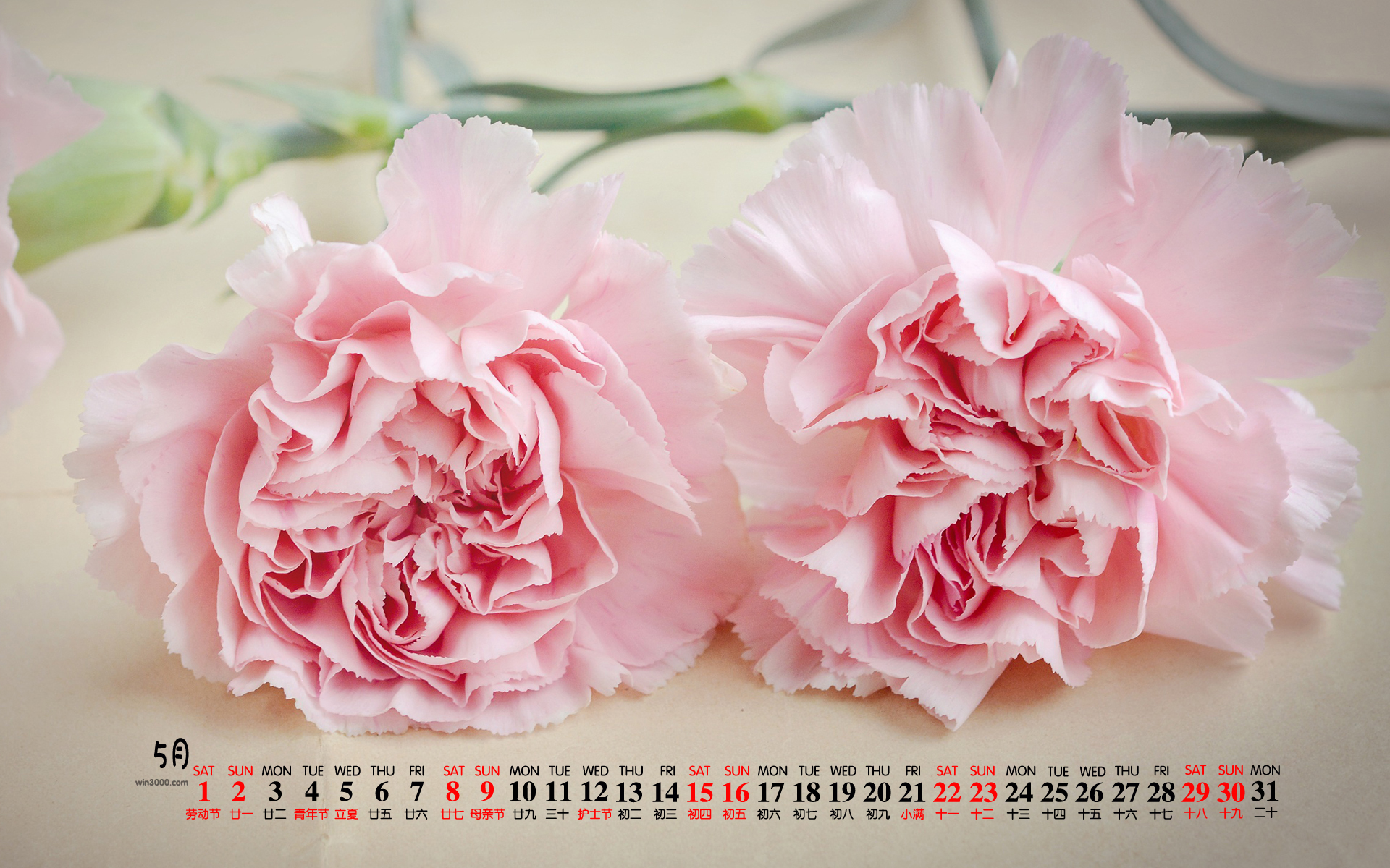 2021年5月母亲节花朵桌面日历壁纸