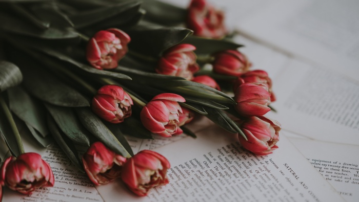 tulip bouquet pictures desktop wallpaper