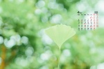 2022年4月绿色护眼小清新电脑日历壁纸