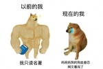 Summary of emoticons comparing two dogs