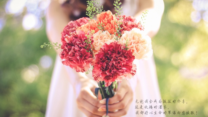 Beautiful pictures and text wallpapers of thank you to my mentor