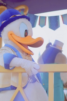 Disneyland mobile wallpaper