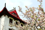 Sichuan University campus scenery pictures