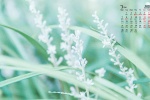 March 2022 green leaves flowers blue sky desktop calendar wallpaper