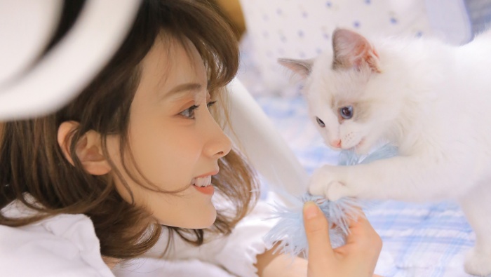 撸猫女孩唯美写真桌面壁纸