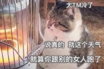 太TM冷了，说真的，就这个天气，就算你跟别的女人跑了，我都懒得去追