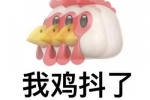 我鸡抖了