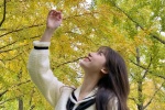 Beautiful pictures and photography under the ginkgo tree