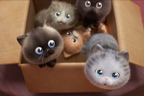 青春变形记治愈猫咪电脑壁纸