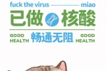 猫咪已做核酸主题手机壁纸