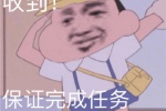 收到！保证完成任务
