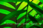Eye-protecting green leaves desktop calendar wallpaper for May 2022