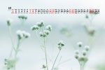 Eye protection natural scenery calendar wallpaper for August 2021