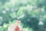 April 2022 green eye protection calendar desktop wallpaper