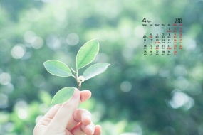 April 2022 green eye protection calendar desktop wallpaper