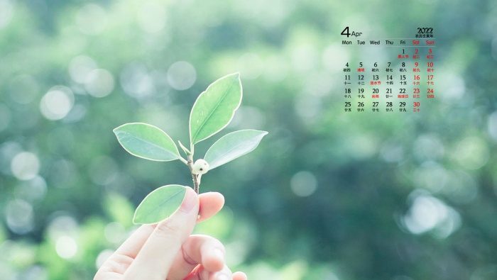 April 2022 green eye protection calendar desktop wallpaper