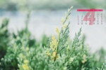 2022年4月日历壁纸