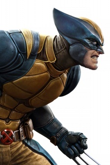 X-Men American Comics Heroes Photo Gallery