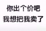 你出个价吧
我想把我卖了