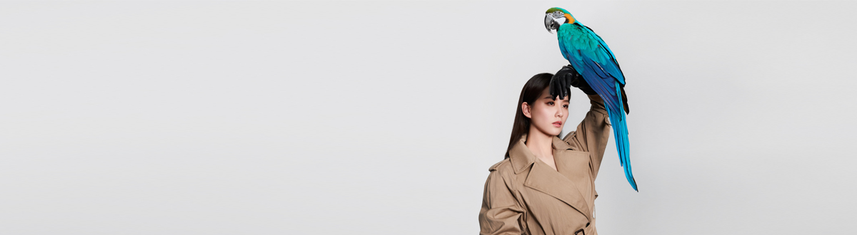 Liu Shishi pictures