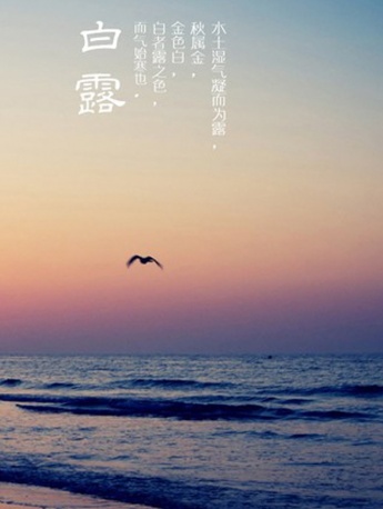 傳統節氣白露手機壁紙