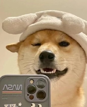 狗头君精致女孩头像