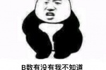 B数有没有我不知道，但我知道你再问我就会打死你