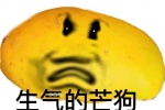 生气的芒狗表情包