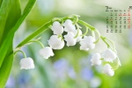 Elegant and fresh flowers calendar wallpaper for March 2022