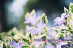 September 2021 small fresh natural scenery calendar wallpaper