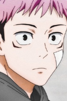 The second portrait of Polygonum cuspidatum Hisuhito