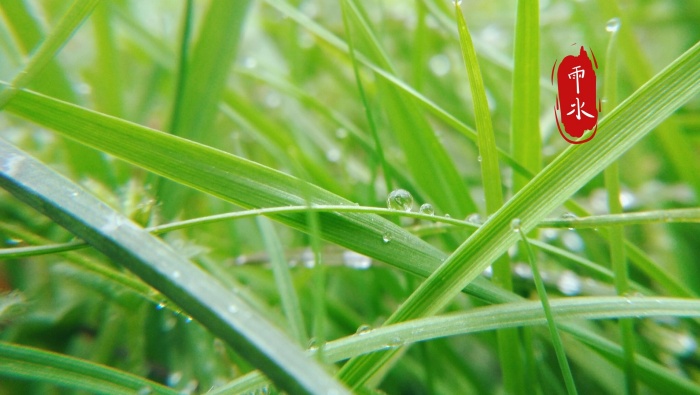 Traditional solar term rain picture wallpaper