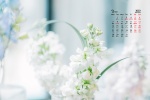 Eye protection HD desktop calendar wallpaper for March 2022