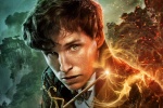 Fantastic Beasts 3 Newt computer wallpaper