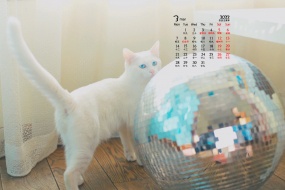 March 2022 Cute Cat Desktop Calendar Wallpaper