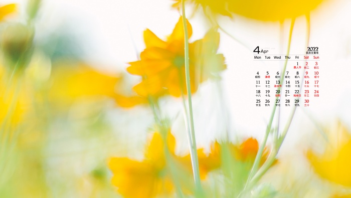 2022年4月治愈系小黄花高清桌面日历壁纸